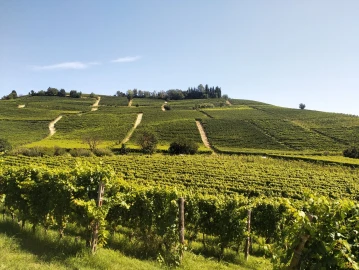 Cycle touring, Nel cuore delle terre dei grandi vini