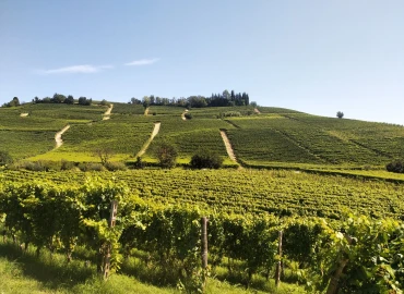 Cycle touring, In the heart of the lands of great wines