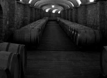 Cycle touring, Tuscany between thermal baths and vineyards