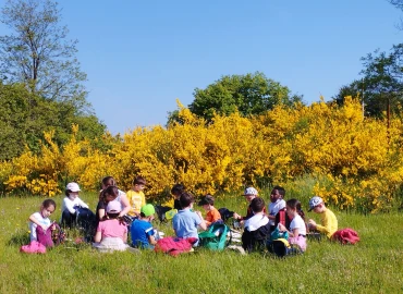 Trekking, The 'winged' voices of the forest