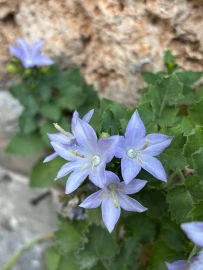 Trekking, Liguria: trekking weekend to discover Finale Ligure