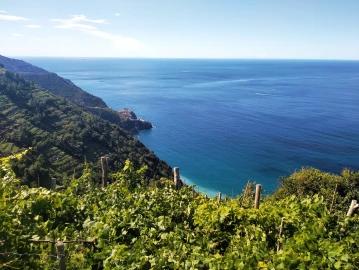 Trekking, Weekend in the Cinque Terre: panoramic paths and UNESCO heritage villages
