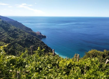 Trekking, Weekend in the Cinque Terre: panoramic paths and UNESCO heritage villages
