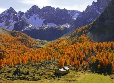 Trekking, Weekend in Val Varaita nel bosco dell’Alevè