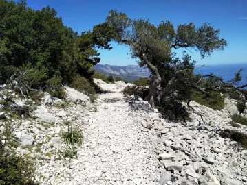 Escursionismo, Corso Formazione Insegnanti: Cambiamento Climatico e Osservazione in Natura