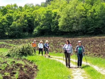 Trekking, Trekking in autonomia: Gargano e Puglia in auto