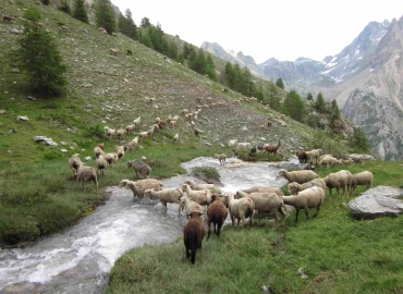 Trekking, The mountain pastures of Valle Stura