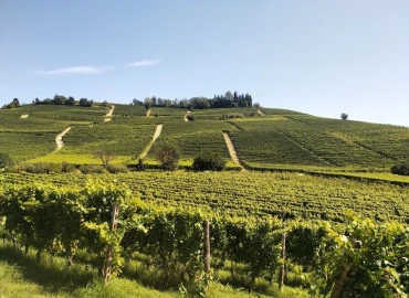 Trekking, Hiking in the lands of Barolo
