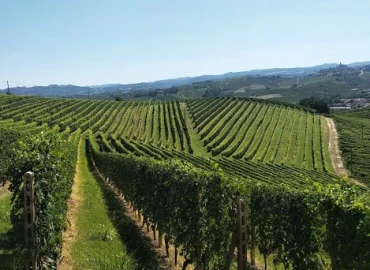 Trekking, Literary hiking in the lands of Barbera