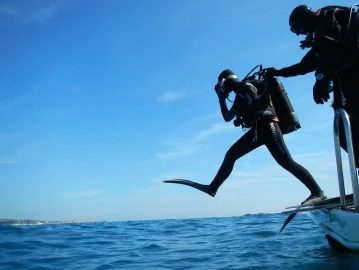 Snorkeling & Diving, Immersione all'Isola di Bergeggi