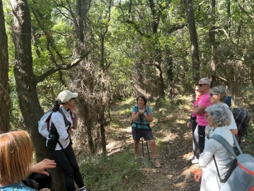 Yoga, Mindfulness per Insegnanti: Integrazione mente–corpo–emozioni e gestione dell’eco-ansia